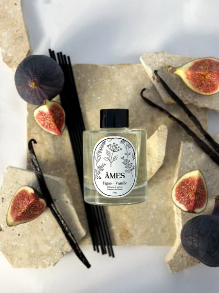 Diffuseur de Parfum d'Ambiance