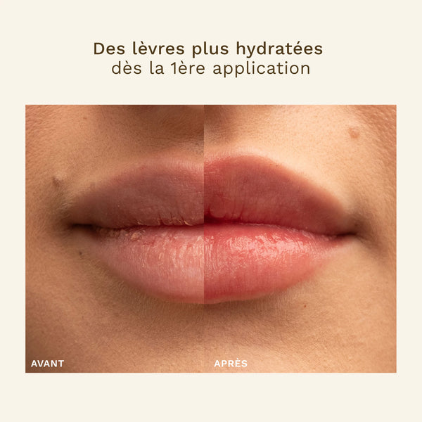 Exfoliant Lèvres Oden