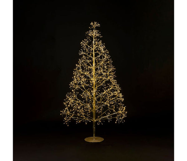 Sapin Lumineux